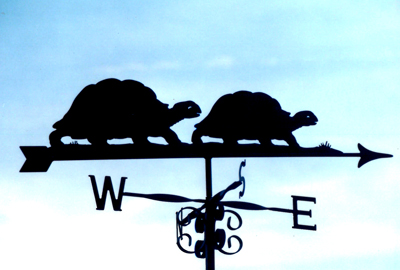 Tortoise Couple weather vane